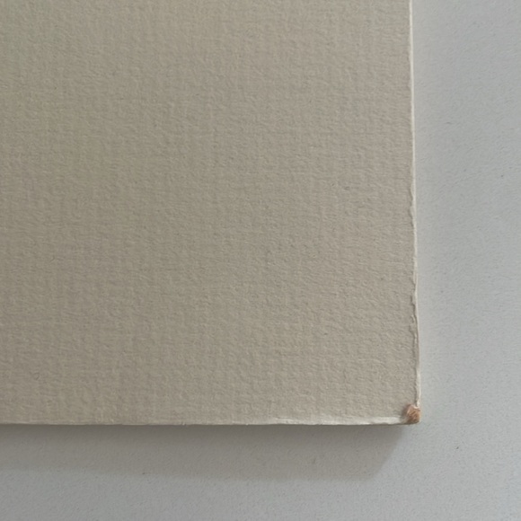 Touch of Purple double matted print by Brent Heighton (irises) 11”h x 14”w - Picture 10 of 14